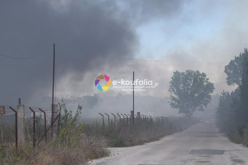 Θεσσαλονίκη: Πυρκαγιά σε προαύλιο εργοστασίου – Στο σημείο επιχειρούν έξι οχήματα της πυροσβεστικής (βίντεο)